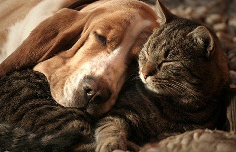 自媒体运营赛事合作案例二