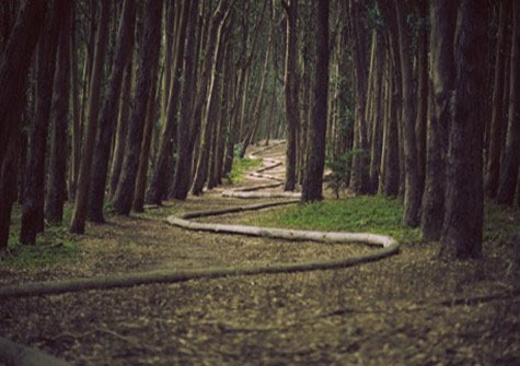 世界杯赛事数据服务合作案例八