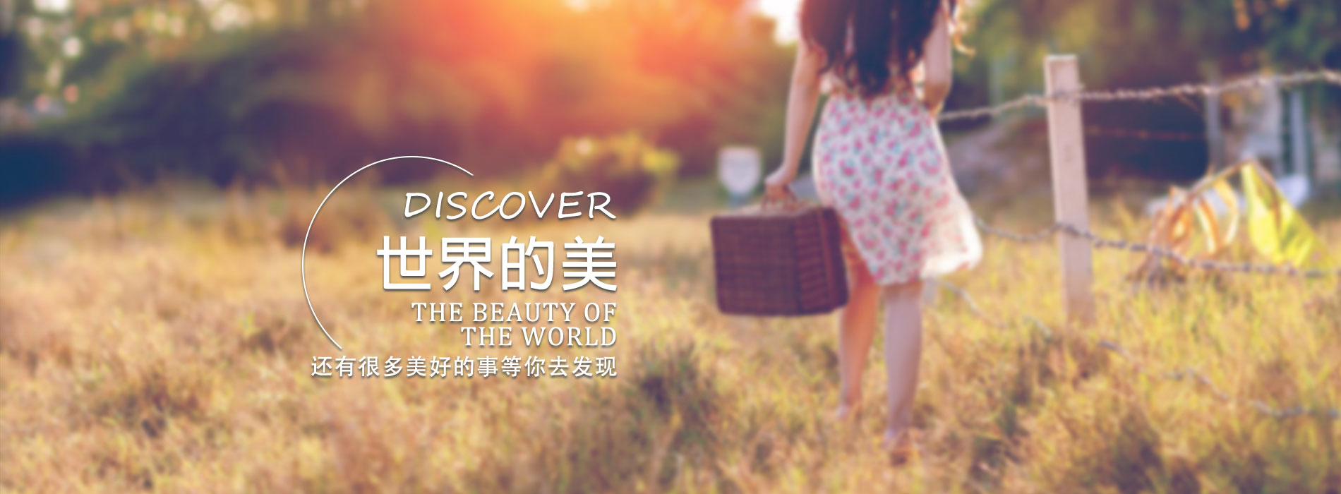 浙江世界杯科技-专业赛事数据服务平台