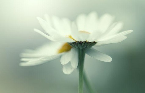 体育播客IP内容合作案例三